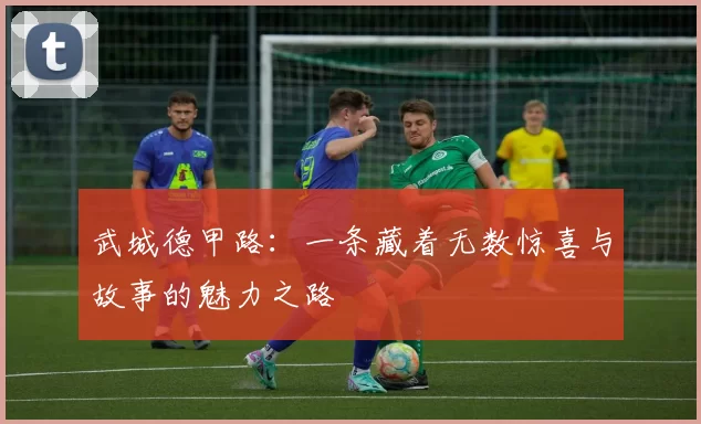 武城德甲路：一条藏着无数惊喜与故事的魅力之路